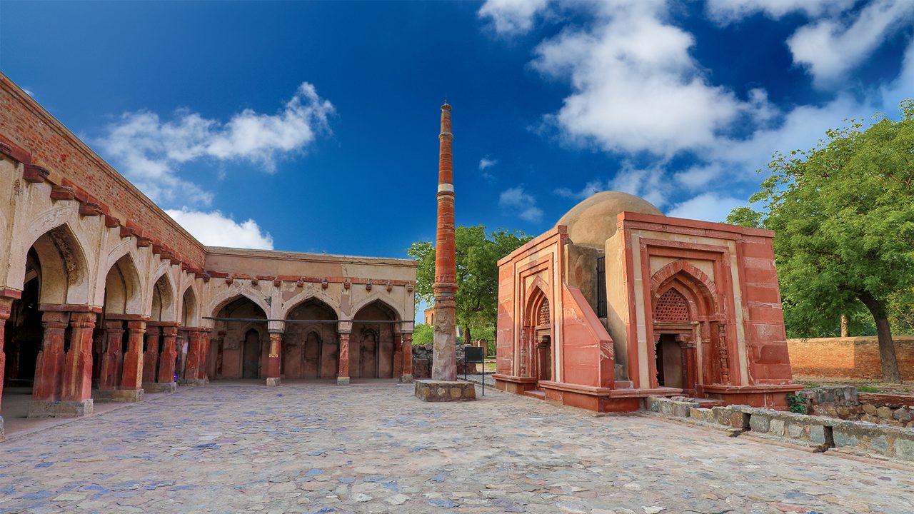 Pet care services in Hisar