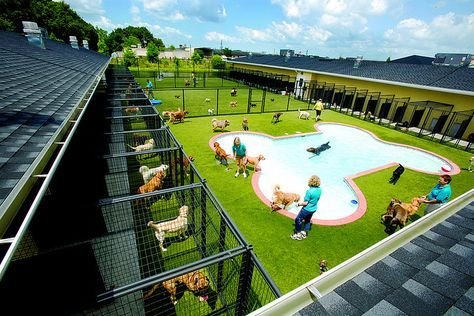 Pet Boarding